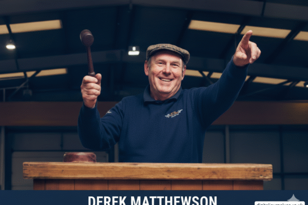derek matthewson