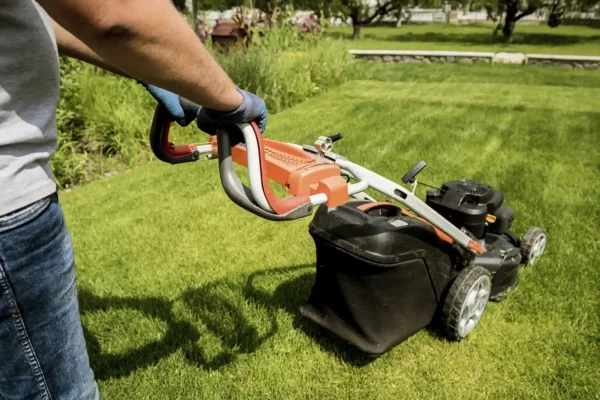 Lawn Care Services