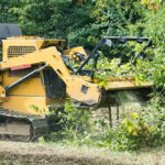 Brush Clearing
