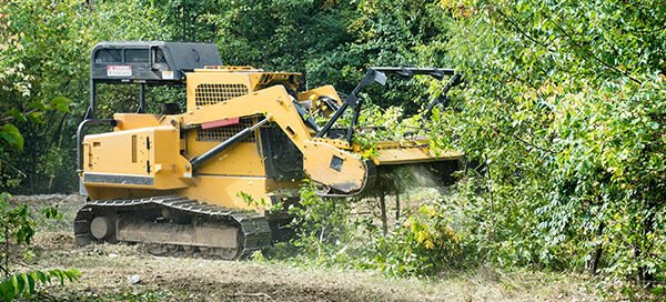 Brush Clearing