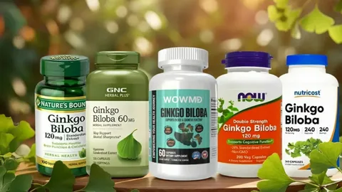 Ginkgo Biloba Benefits for Memory, Focus and Circulation